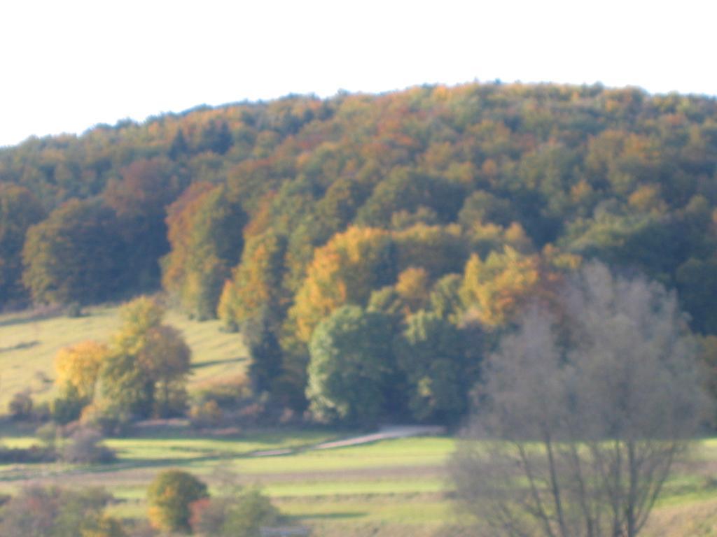 Gomadingen Gasthof Zum Lamm מראה חיצוני תמונה